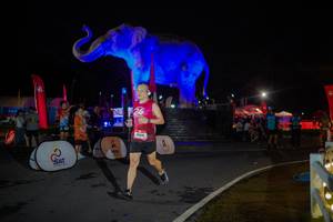 BIB: 
                            <button type="button" onclick="openModal(26551816)" class="btn btn-primary btn-sm float-right btn-popup" data-toggle="modal" data-target=".modal-high-quality">
                        <i class="fas fa-shopping-cart"></i> Add to Cart
                    </button>
                                            <button type="button" onclick="isThisMe(26551816, true)" class="btn btn-success btn-sm float-right btn-popup btn-isme hidden" data-toggle="tooltip" data-placement="bottom" title="นี่คือรูปของคุณใช่ไหม คลิกที่นี่เพื่อเอาเข้าอัลบั้ม">
                        <i class="fas fa-plus"></i> Add to album
                    </button>
                    <button type="button" onclick="isThisMe(26551816, false)" class="btn btn-warning btn-sm float-right btn-popup btn-isnotme hidden">
                        <i class="fas fa-ban"></i> Remove from album
                    </button>